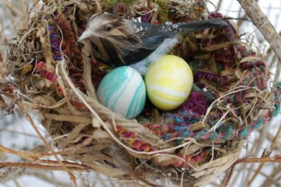 Half Term Bird hunt and Craft Tent