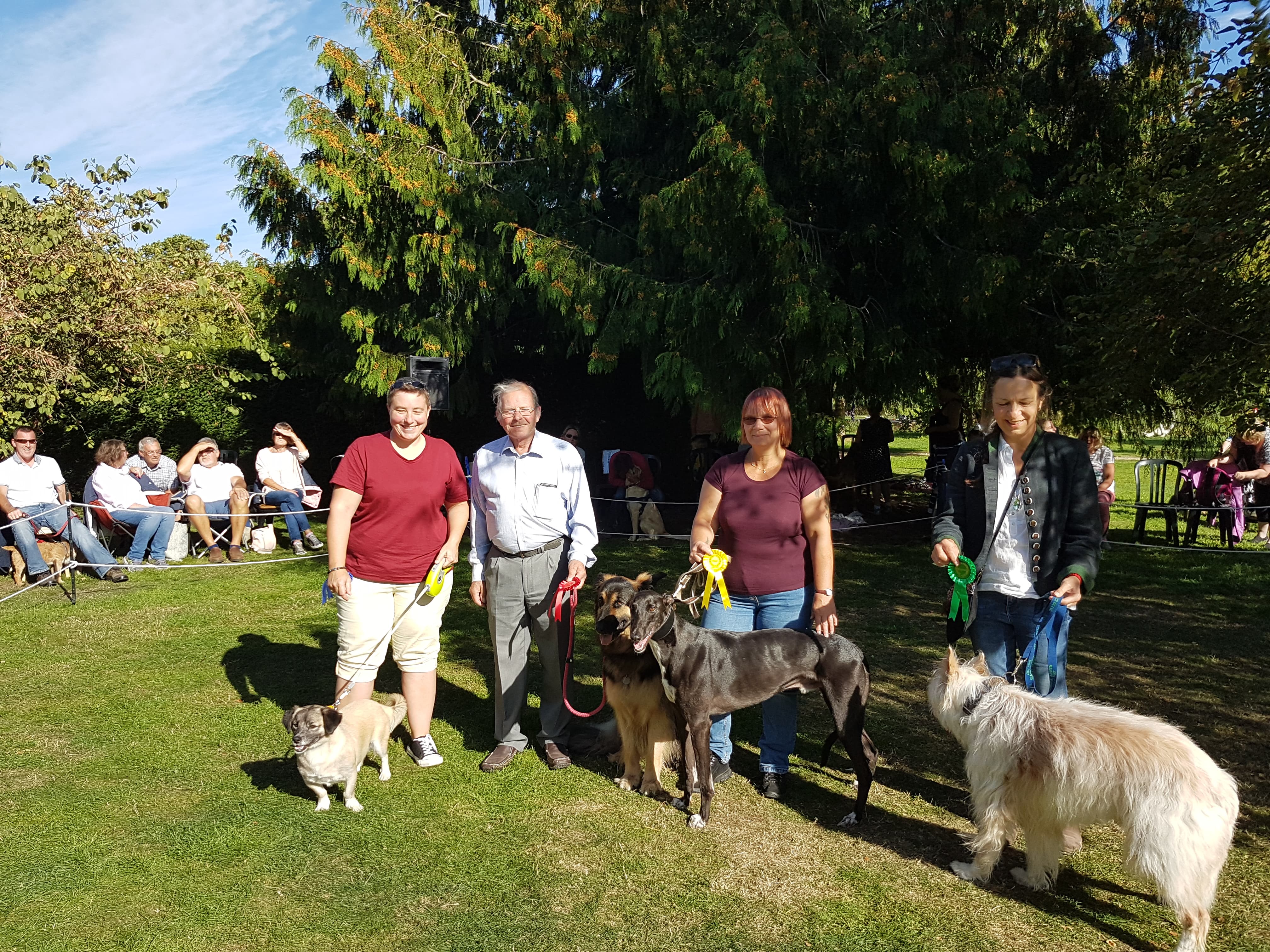 Family Fun Day & Dog Show in aid of Positive Steps Charity