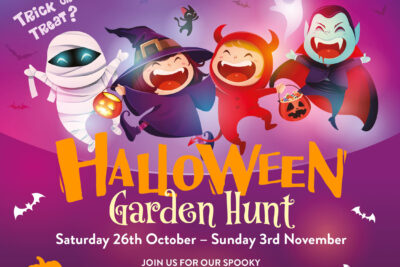 Halloween Garden Hunt 2019