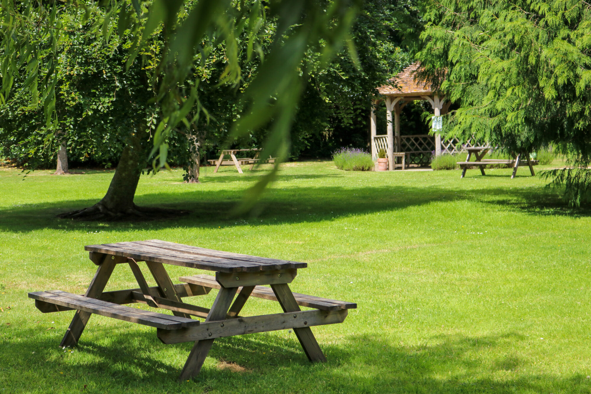 a bench is shown on a lawn with a small pavilion in the background
