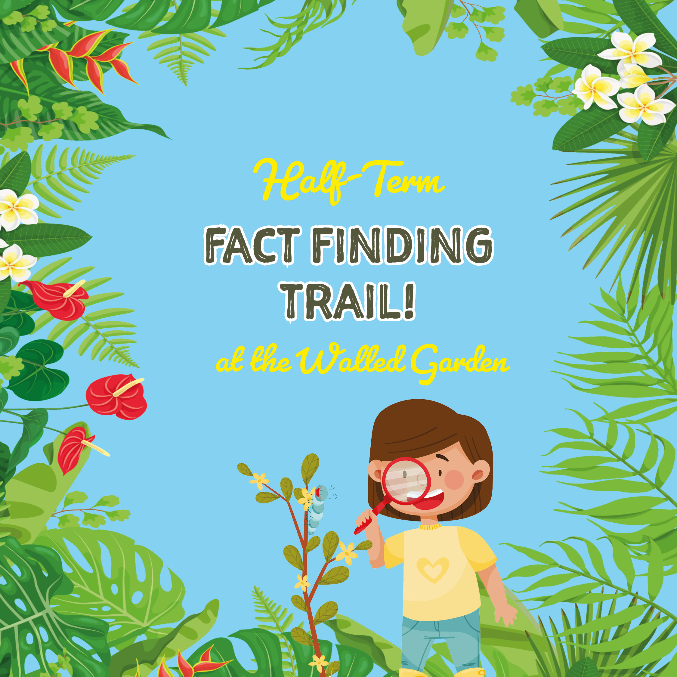 Fact Finding Trail