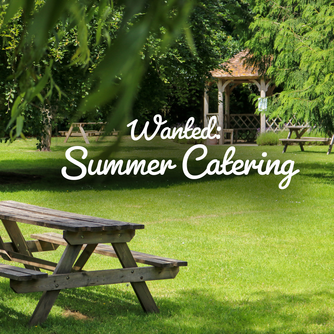 Summer Catering Wanted