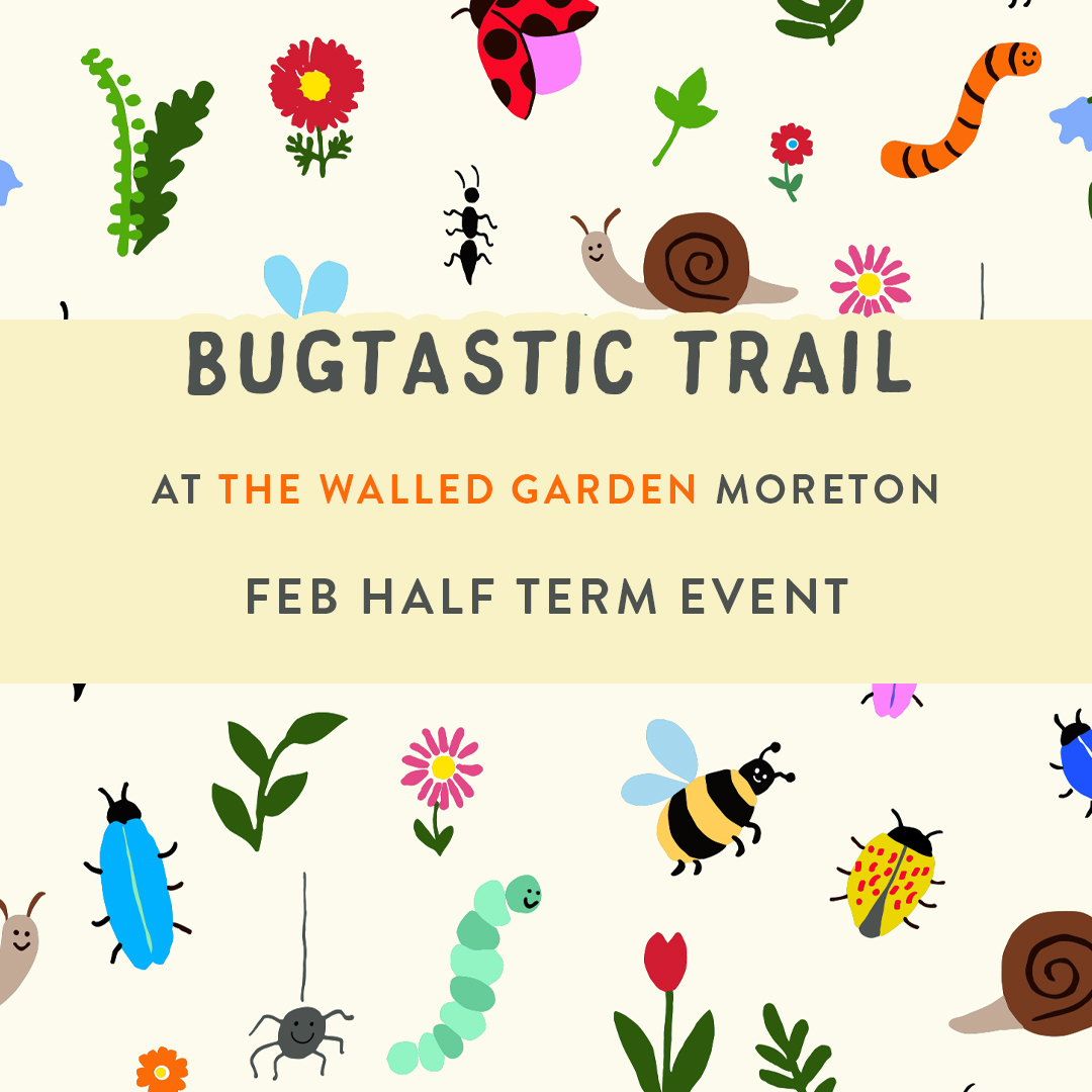 Bugtastic Half Term Trail!