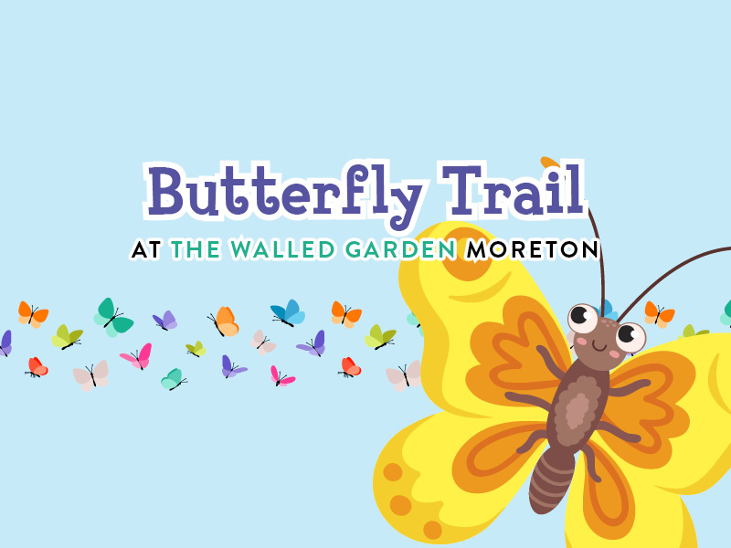 Butterfly Trail at The Walled Garden