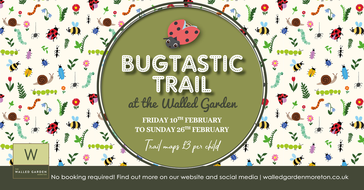 Bug Trail – February