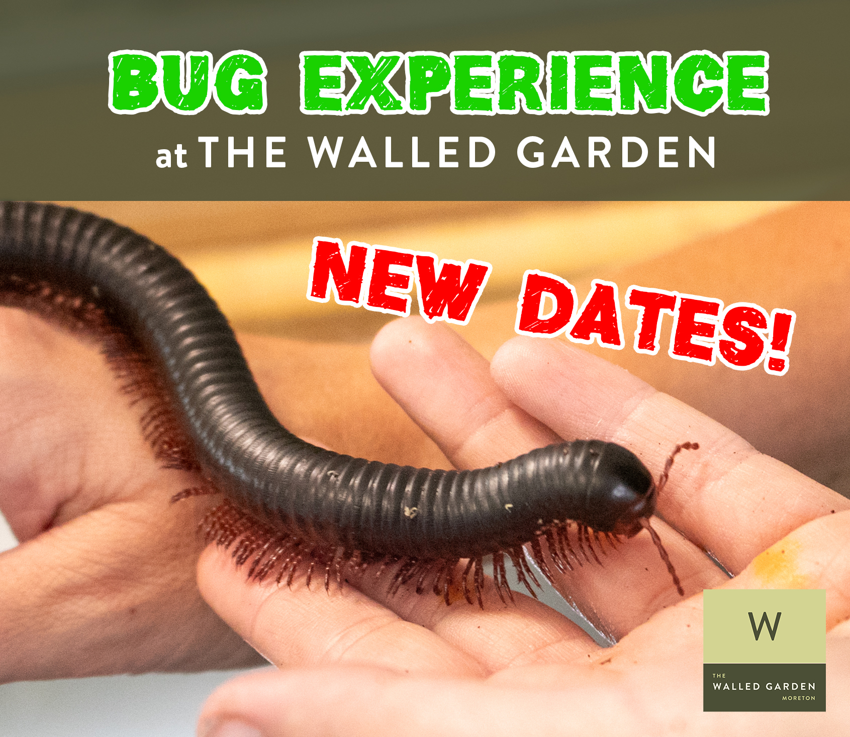 Bug Experience