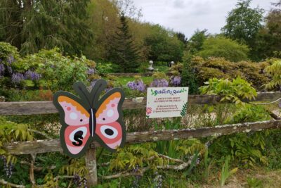May Half Term Butterfly Trail at The Walled Garden 2025
