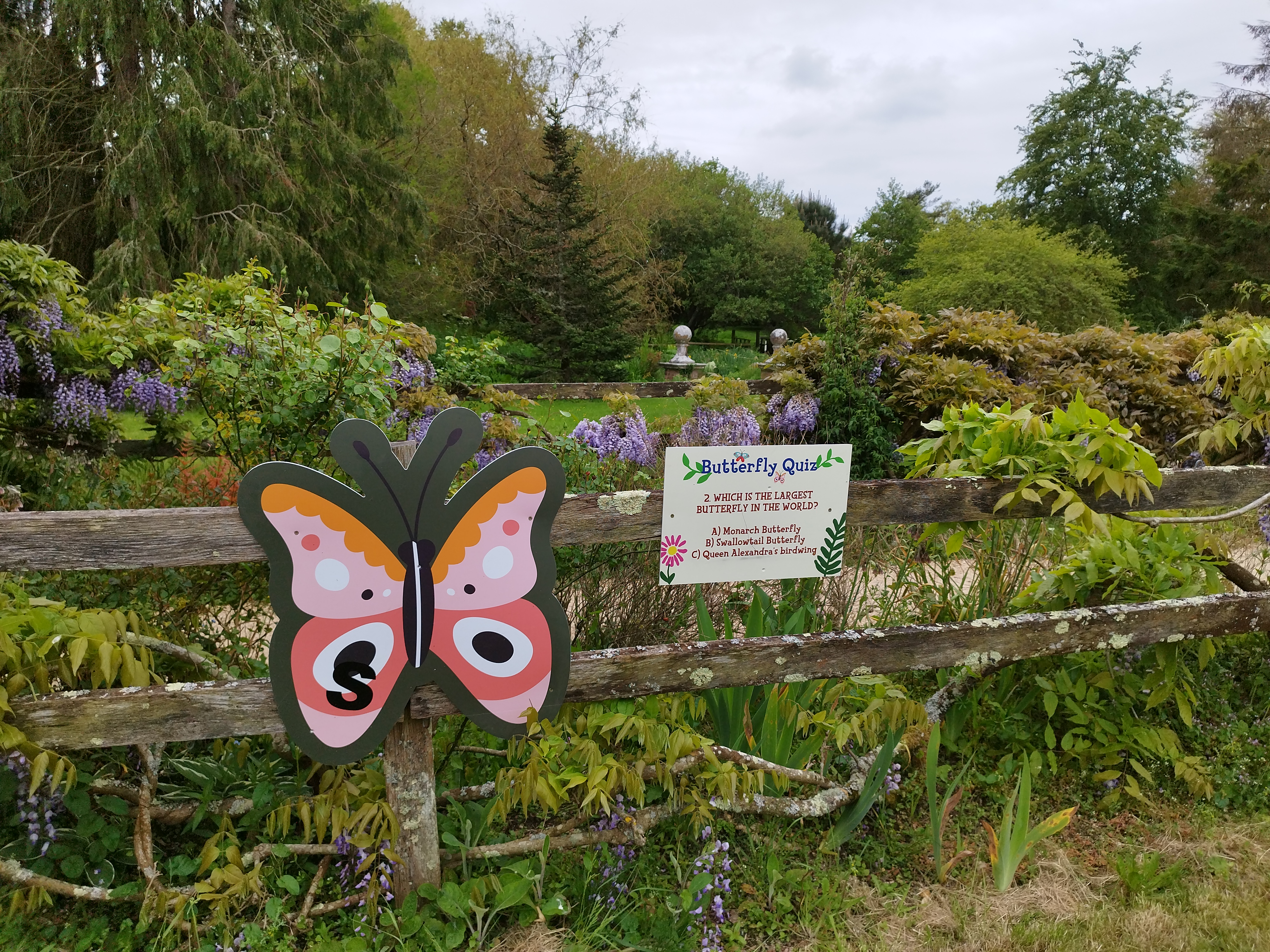 Butterfly Trail 2024 – Opens May Half Term