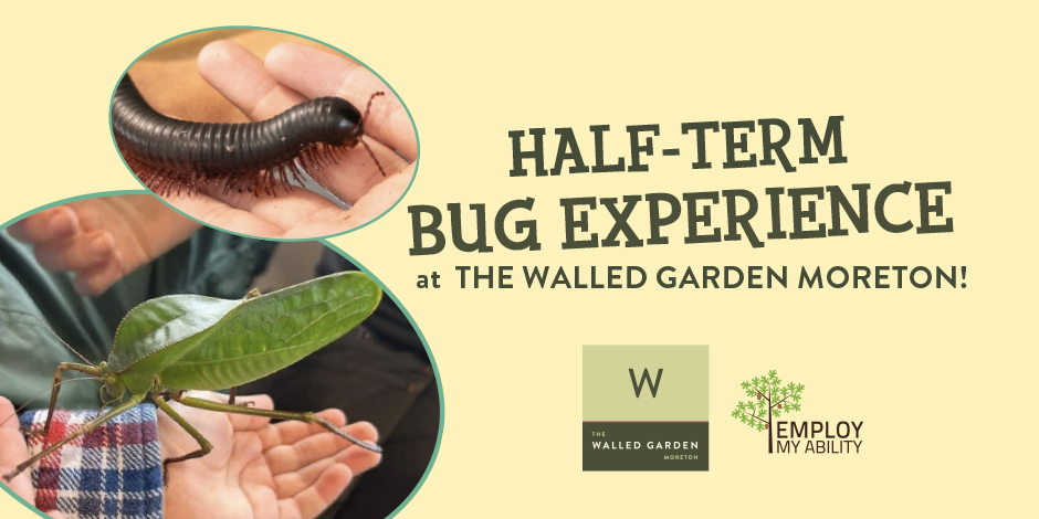 Bug Experience – May Half Term