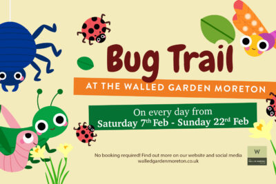 Bug Trail at The Walled Garden – February Half-Term