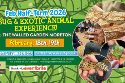 Bug & Exotic Animal Experience at The Walled Garden
