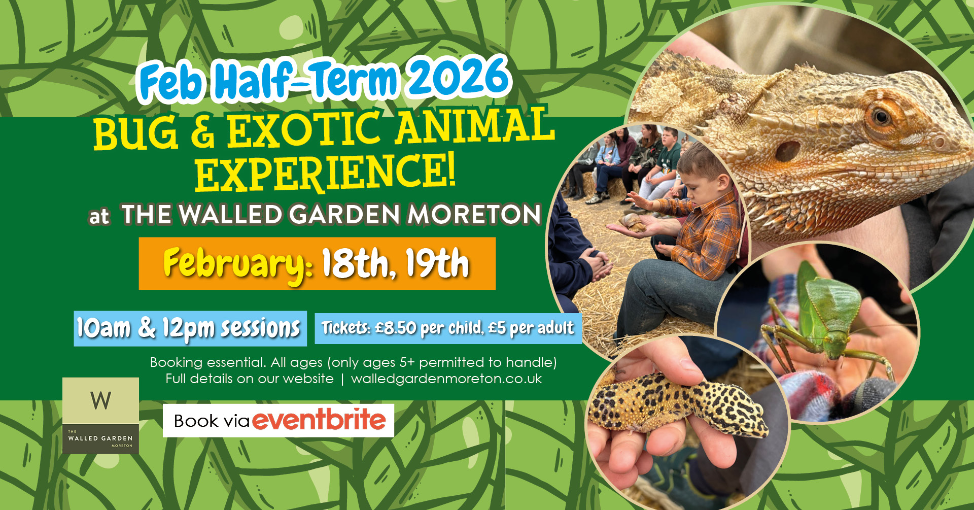 Bug & Exotic Animal Experience at The Walled Garden