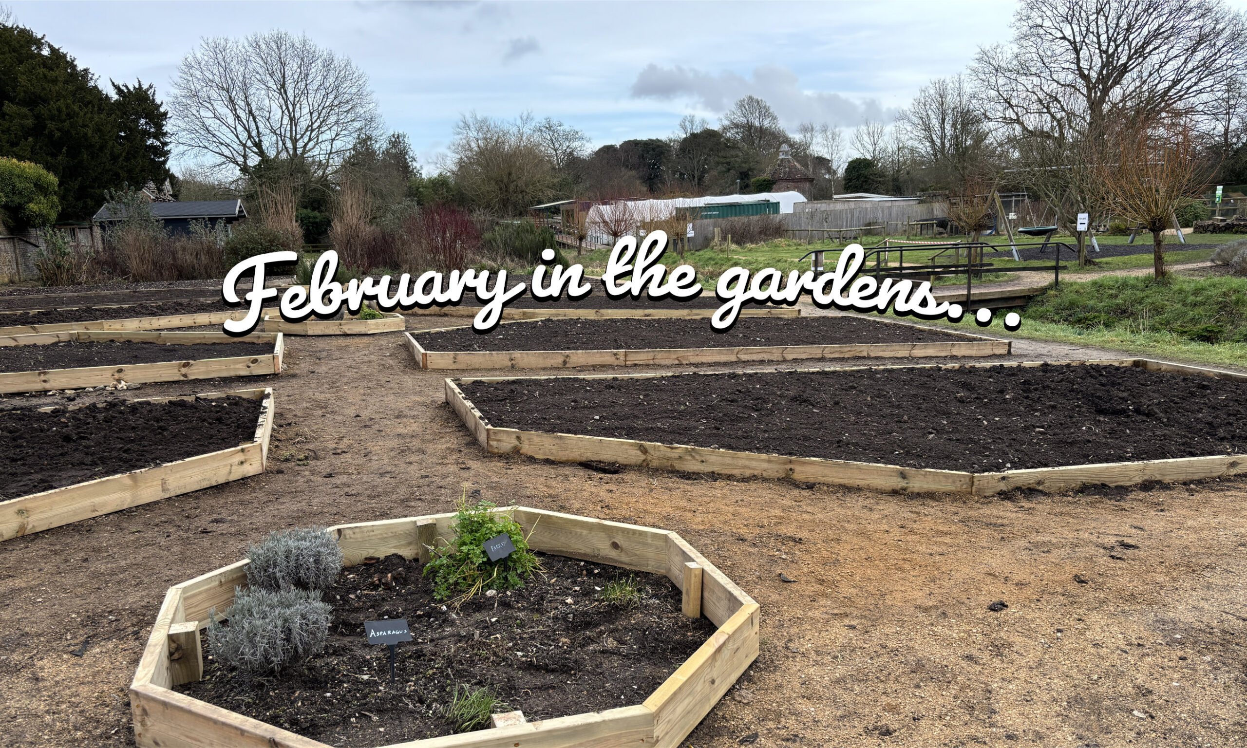 A Glimpse of Spring: Preparing The Walled Garden for a new season