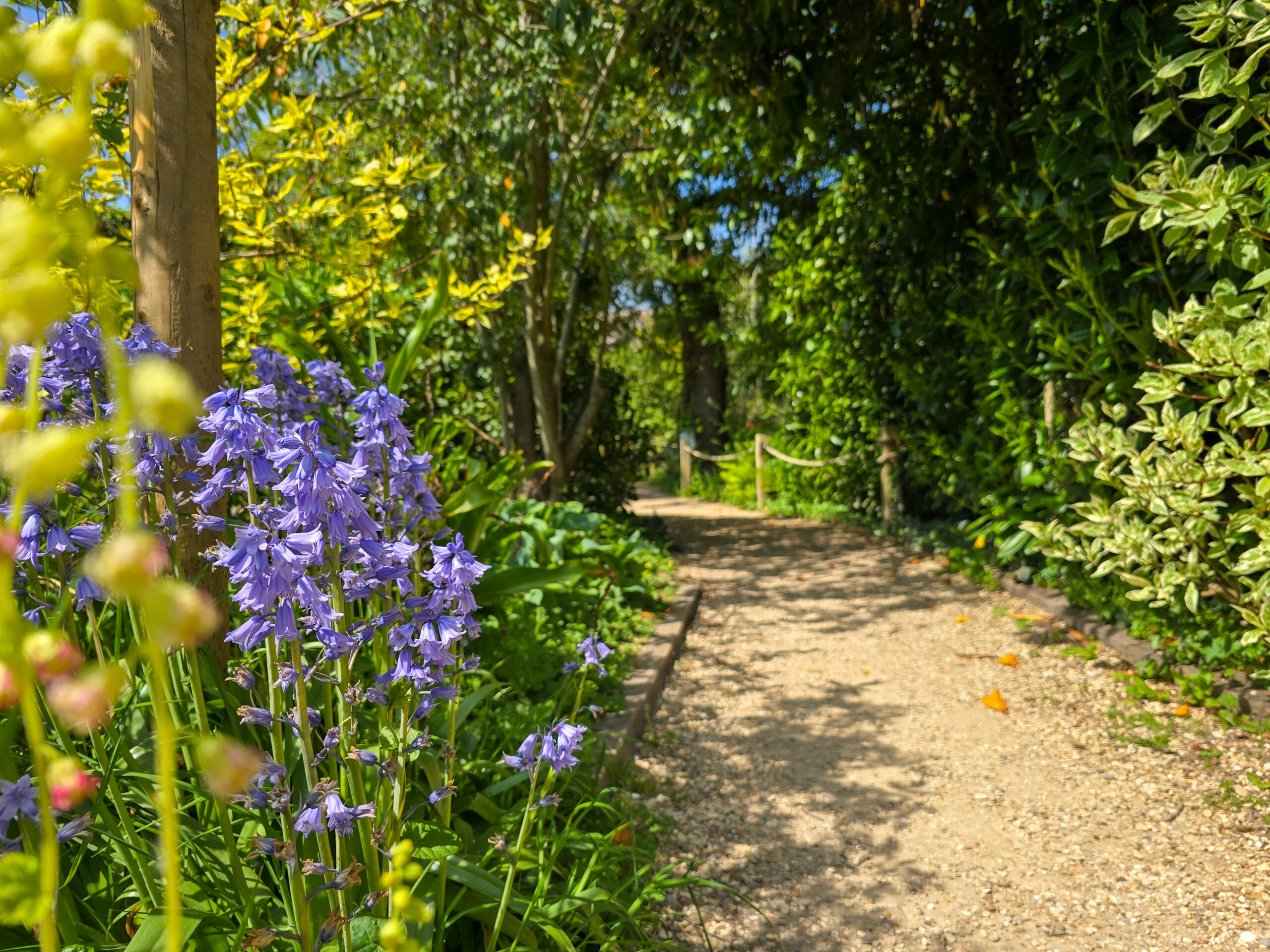 Summer MAY be just around the Corner! (Blog)