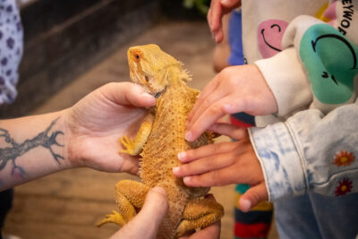Christmas Bug and Exotic Animal Experience at The Walled Garden 2025
