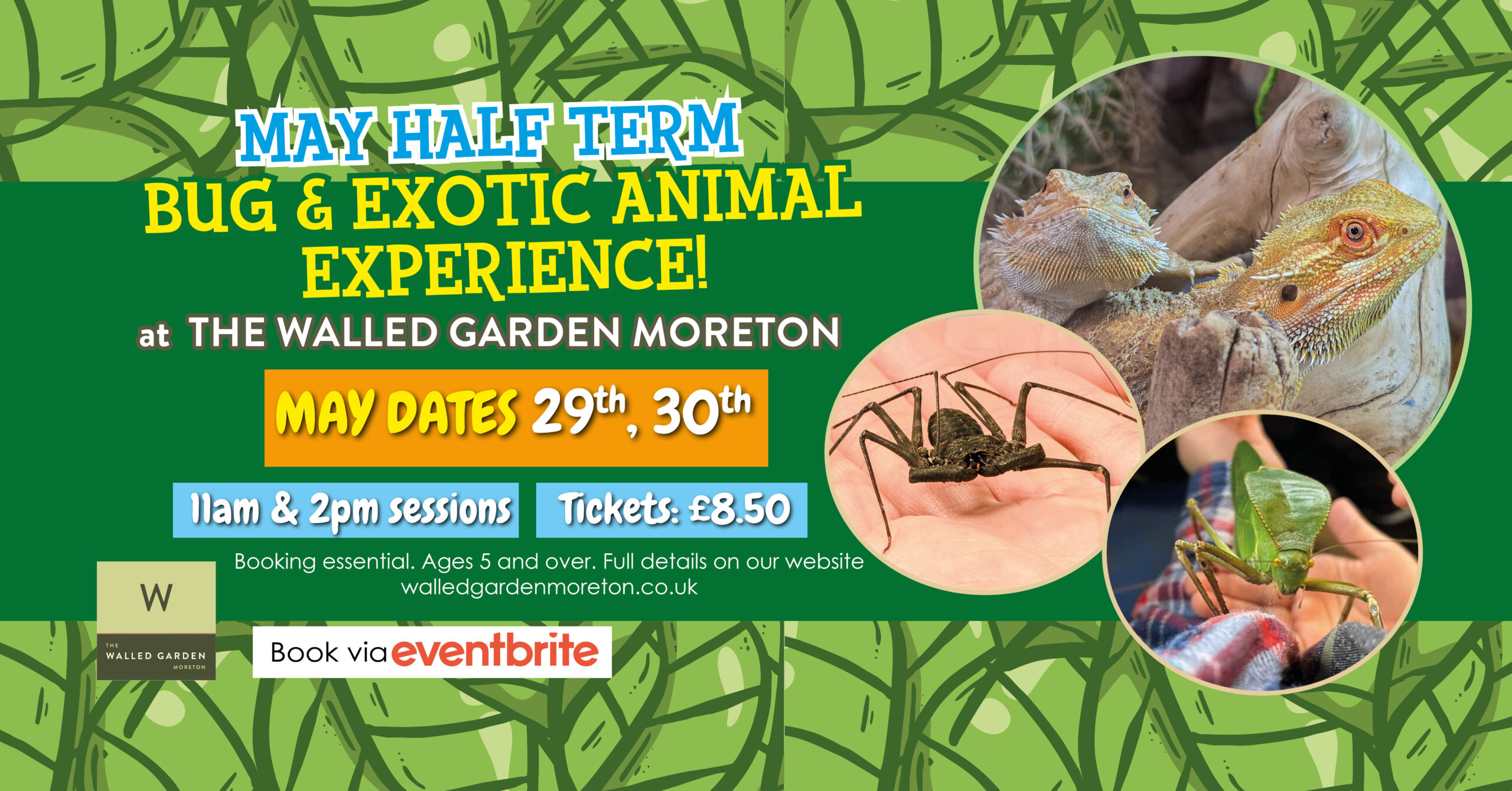 May Half Term Bug and Exotic Animal Experience at The Walled Garden