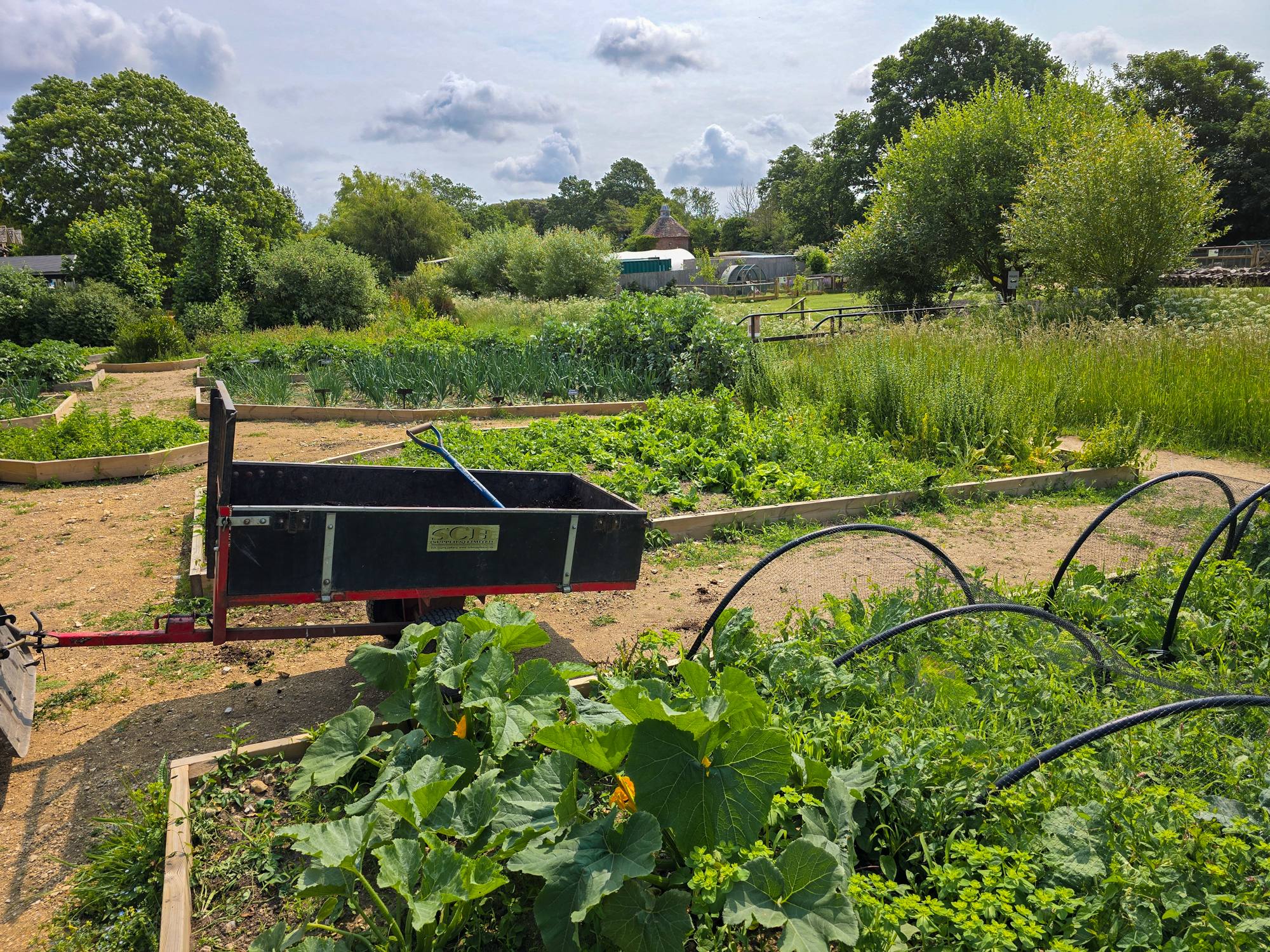 Summer approaches and we’re JUNE the Warm Weather! (Blog)