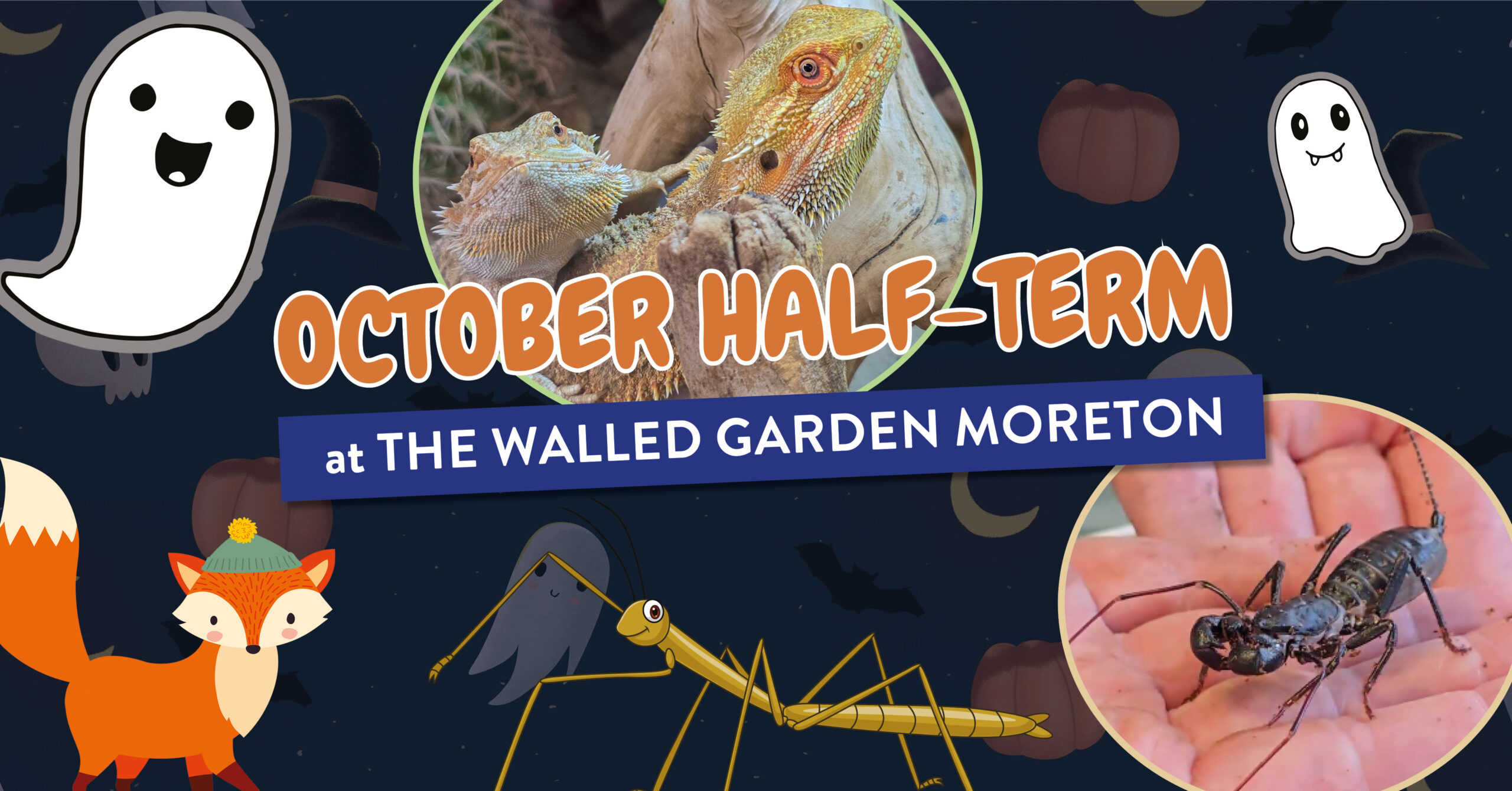 October Half Term Events at The Walled Garden Dorset