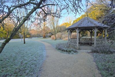 Happy New Year – Our January 2026 Blog